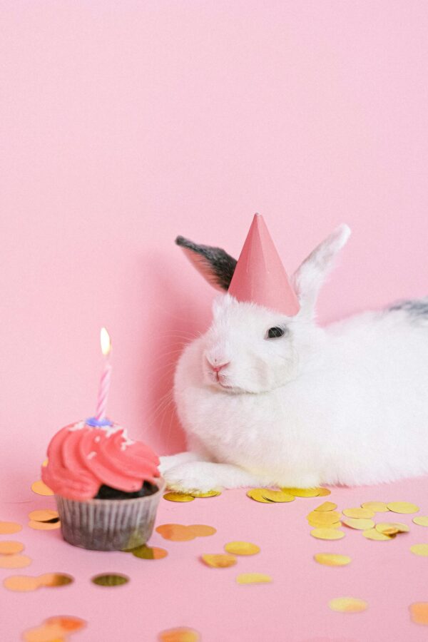 feestbeest
