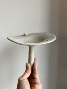 IMG_9020